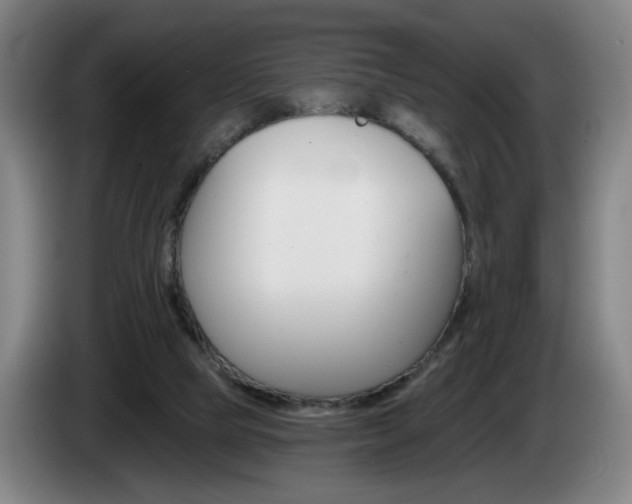 X0000085260065200703090903