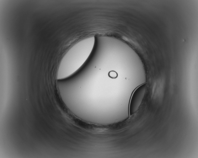 X0000085260066200703090903