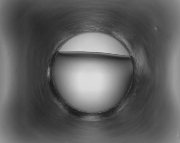 X0000085260067200703090903