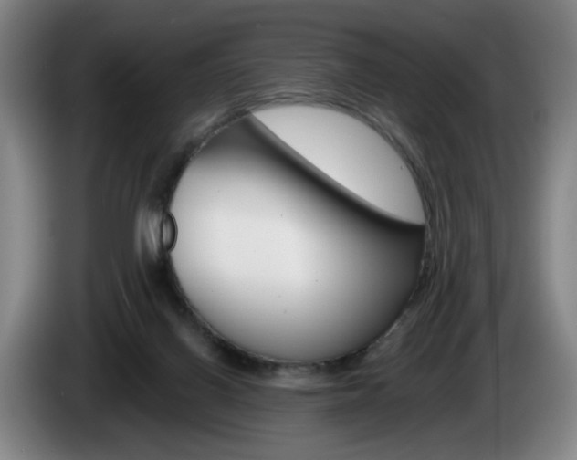 X0000085260070200703090903