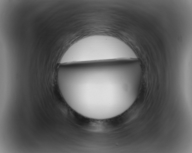 X0000085260079200703090903