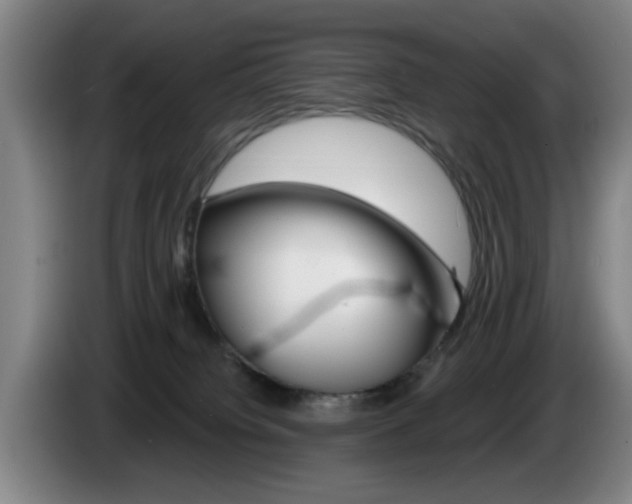 X0000085260084200703090904