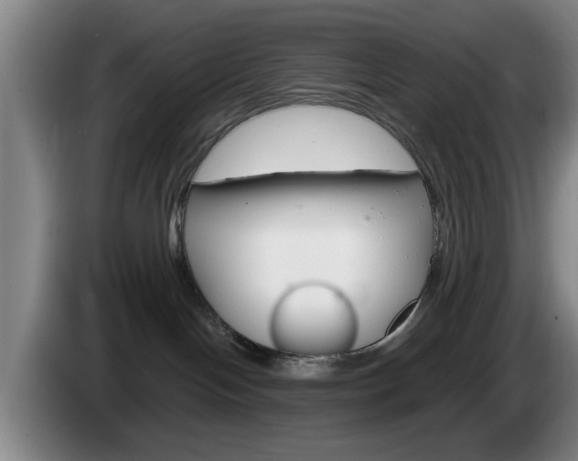 X0000085260094200703090904