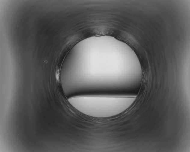 X0000085260095200703090904