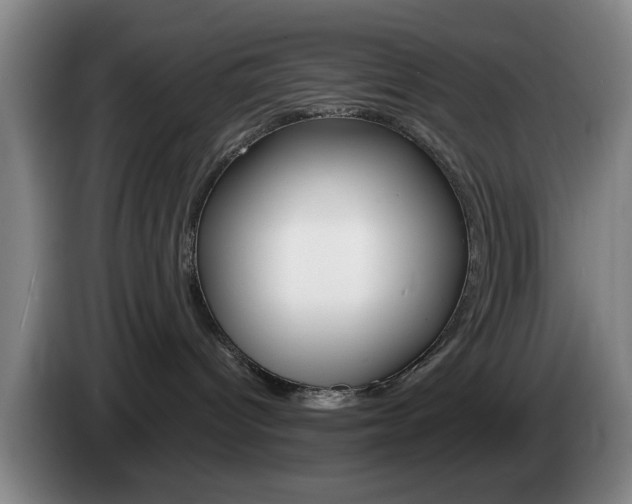 X0000085260096200703090904