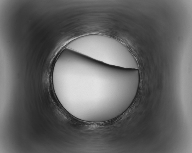 X0000085260098200703090903