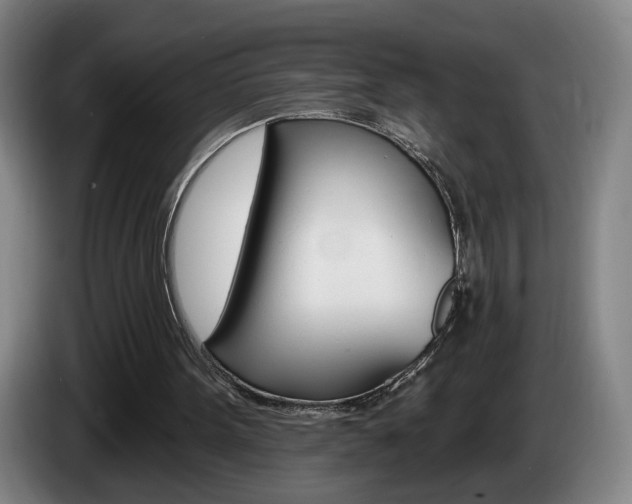 X0000085260099200703090903