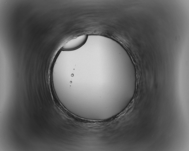 X0000085260100200703090903