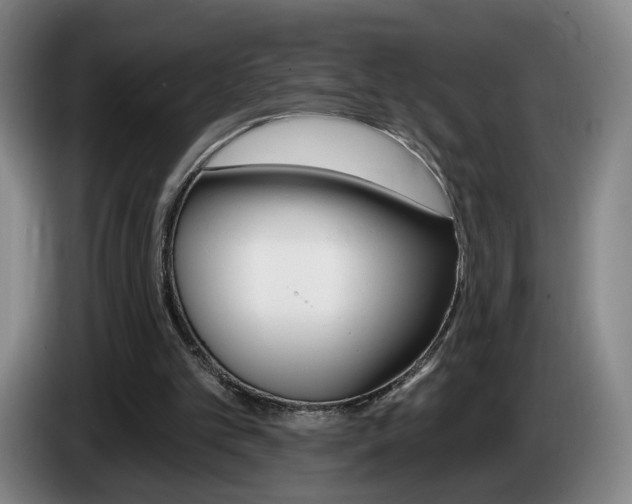 X0000085260101200703090903