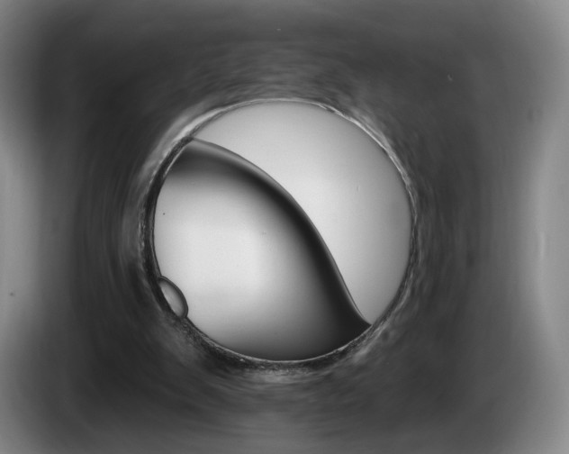 X0000085260103200703090903