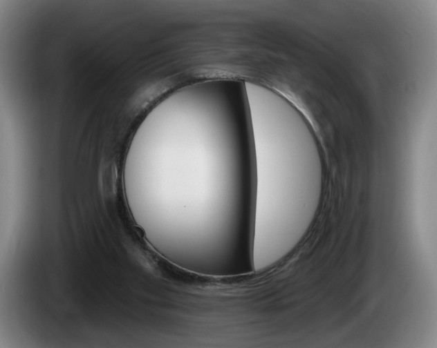 X0000085260109200703090903