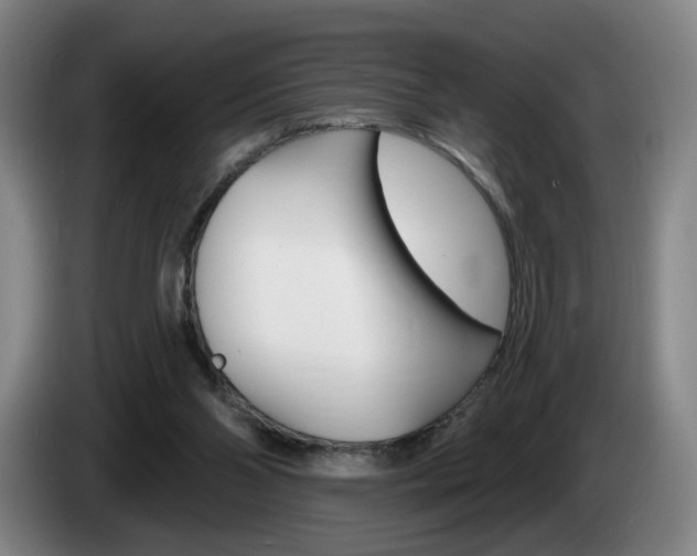 X0000085260110200703090903