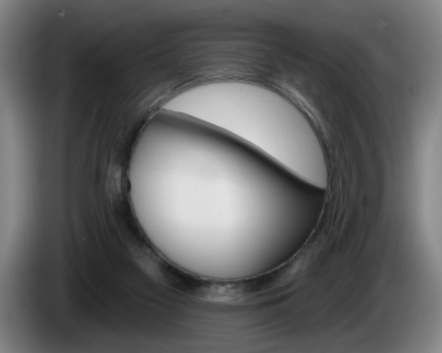 X0000085260117200703090903