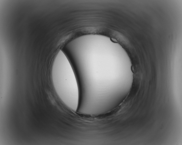 X0000085260119200703090903