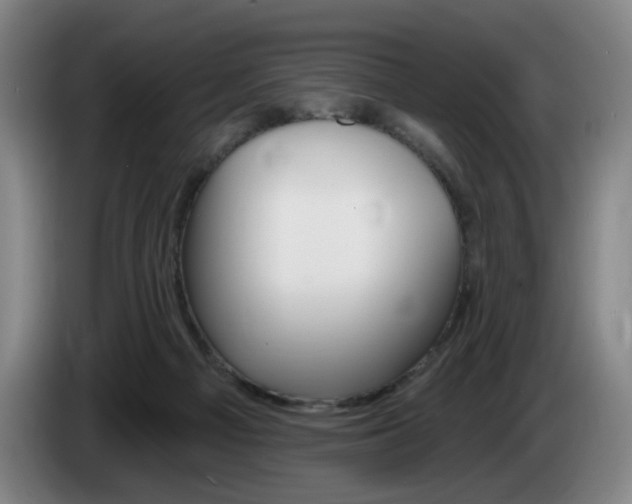 X0000085260121200703090903