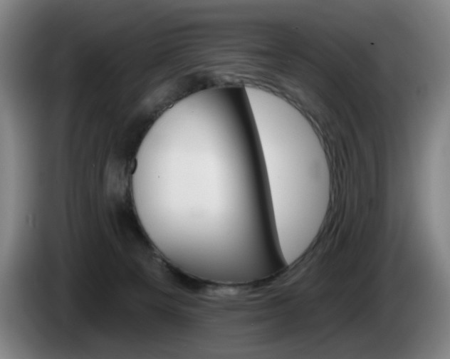 X0000085260129200703090903