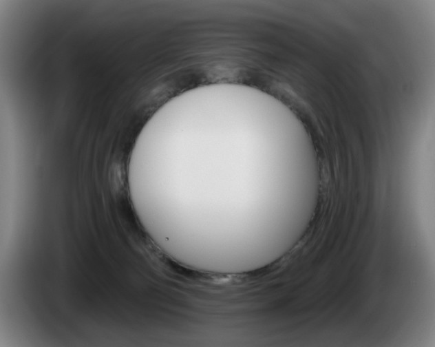 X0000085260130200703090903