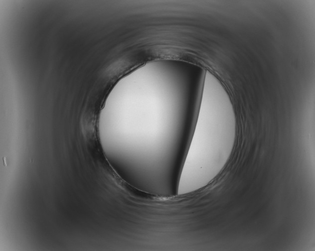 X0000085260141200703090902