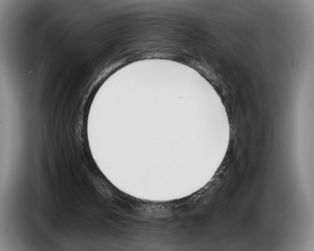 X0000085260146200703090902