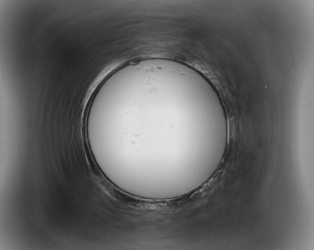 X0000085260147200703090902