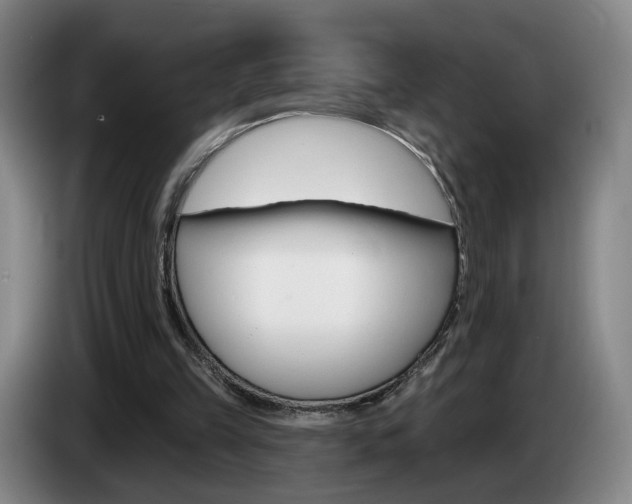 X0000085260149200703090902