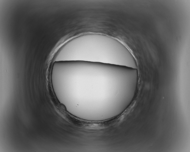 X0000085260151200703090902