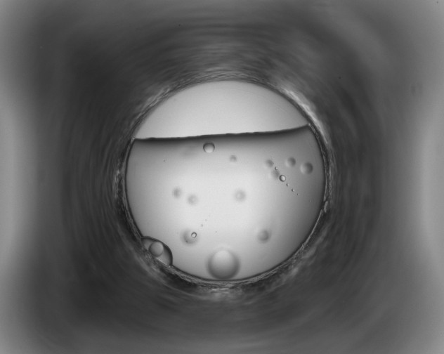 X0000085260153200703090902