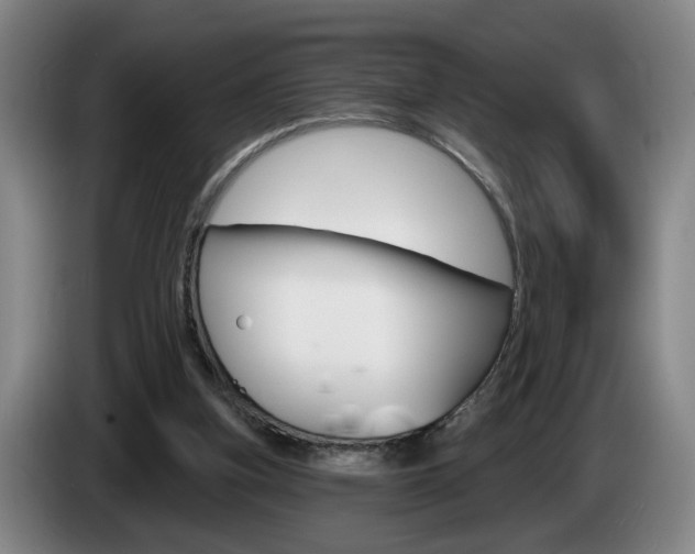 X0000085260155200703090902