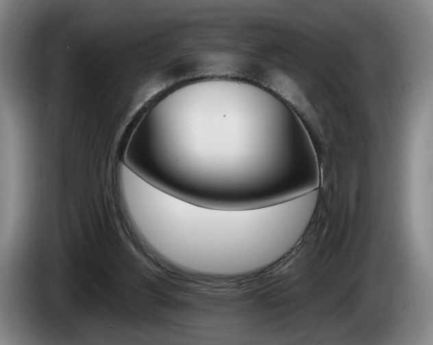 X0000085260156200703090902