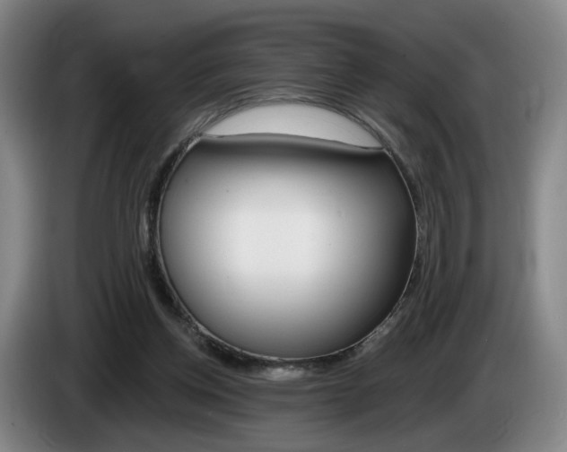 X0000085260158200703090902