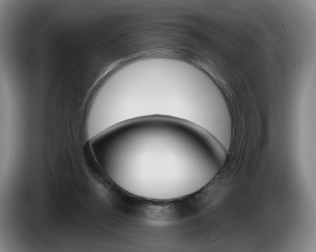 X0000085260160200703090902