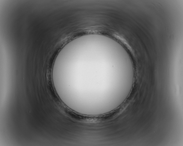 X0000085260161200703090902