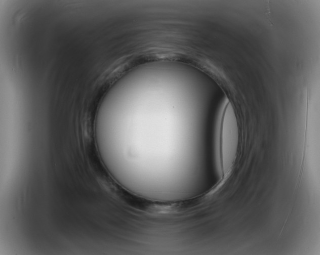 X0000085260170200703090902