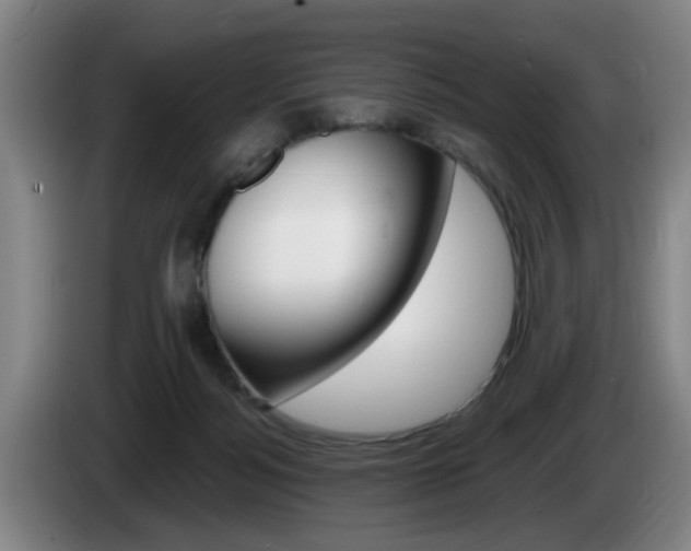 X0000085260172200703090902