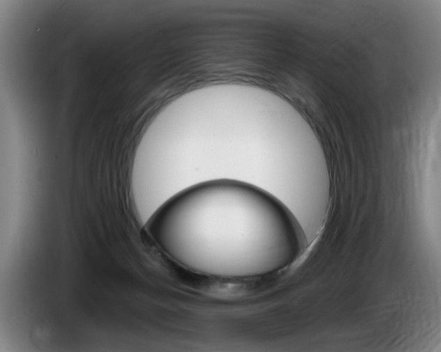 X0000085260174200703090902