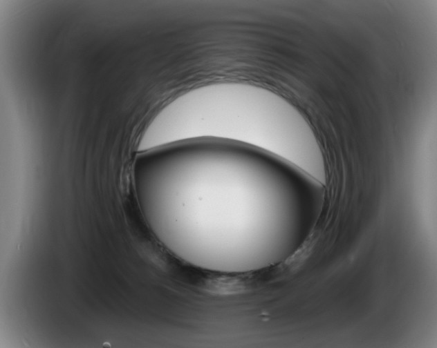 X0000085260180200703090902