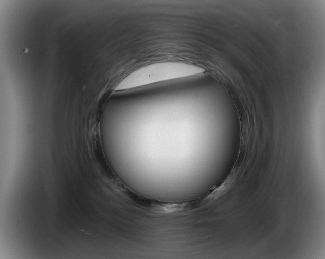 X0000085260184200703090902