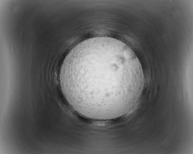 X0000085260187200703090902