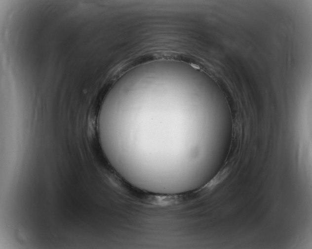 X0000085260188200703090902