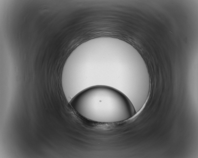 X0000085260190200703090902