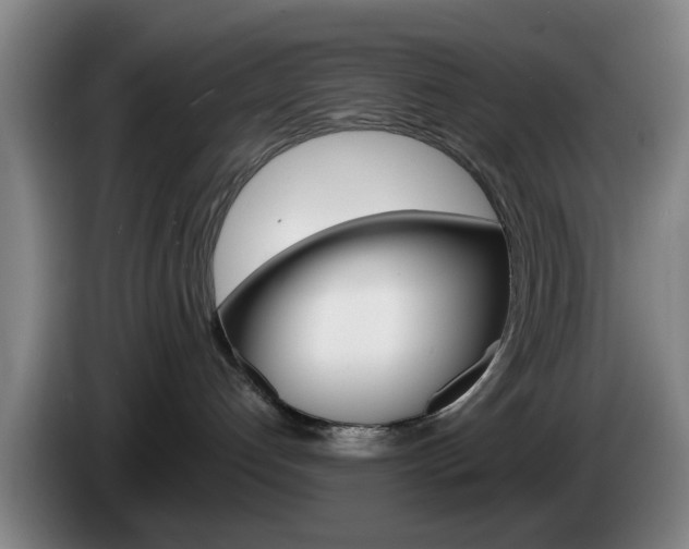 X0000085260192200703090902