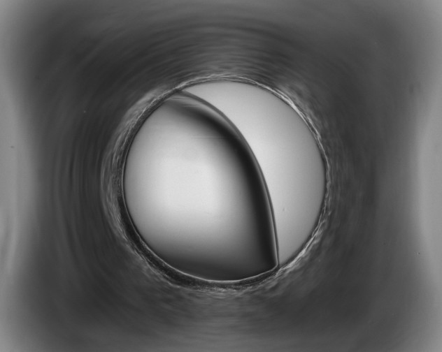 X0000085260193200703090902