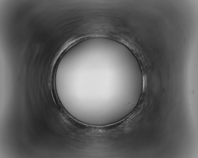 X0000085260195200703090902