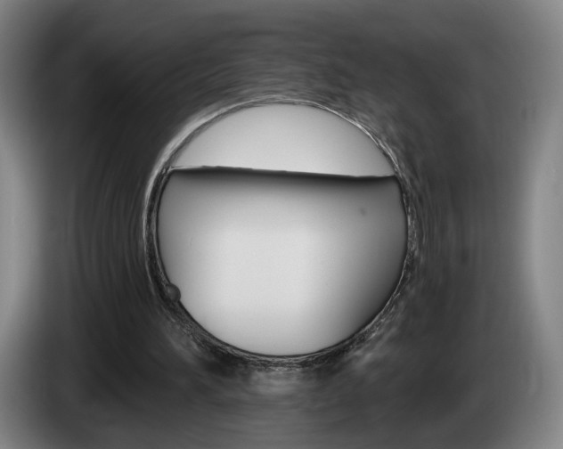 X0000085260196200703090902