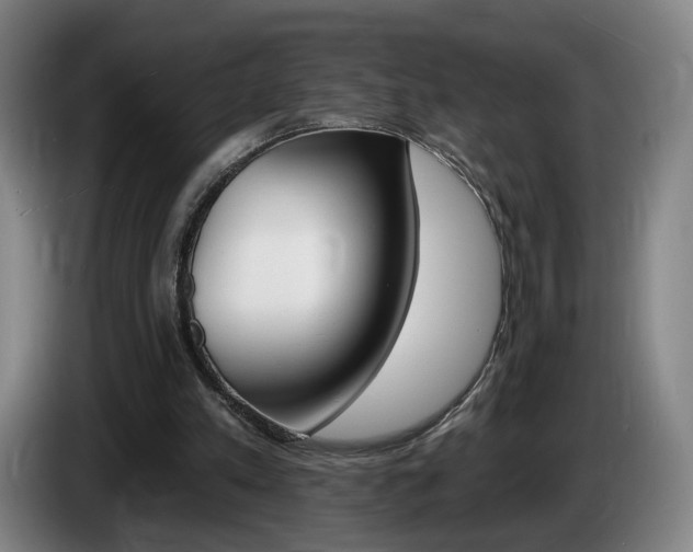 X0000085260197200703090902