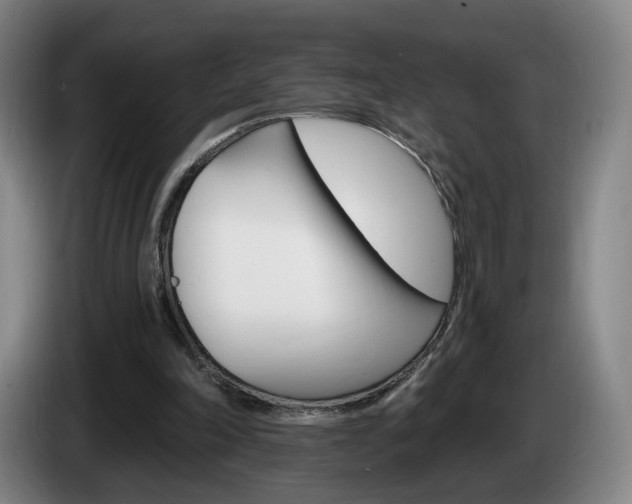 X0000085260198200703090902