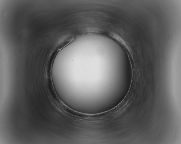 X0000085260203200703090902