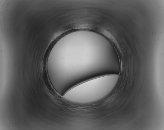 X0000085260204200703090902