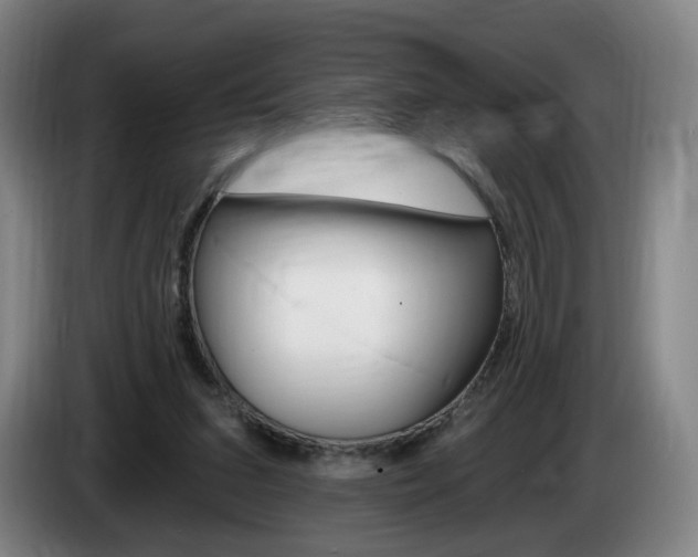 X0000085260207200703090902