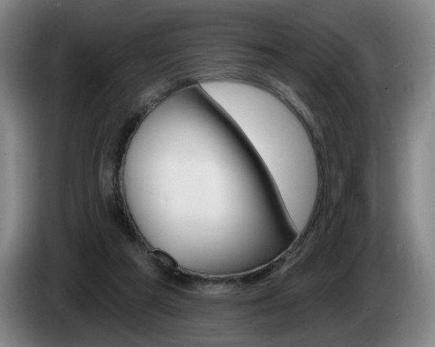 X0000085260209200703090902